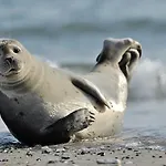 219